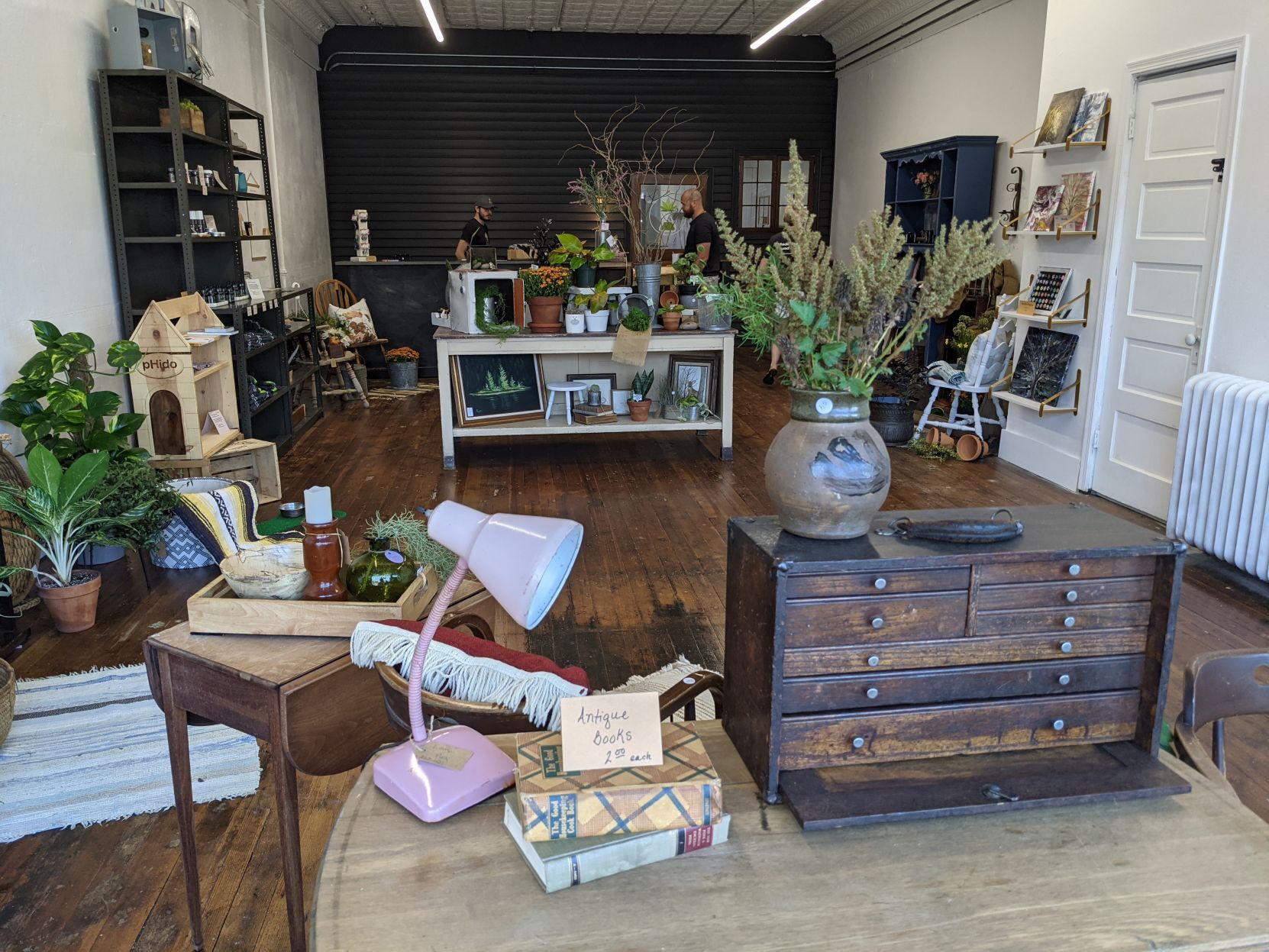 pHat Bottom Labs Storefront